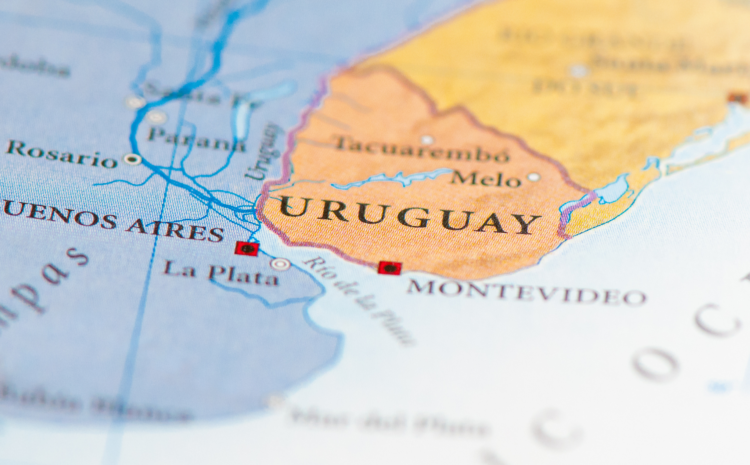  INSEGURIDAD, DESEMPLEO Y ECONOMÍA SE MANTIENEN COMO LOS PRINCIPALES PROBLEMAS DEL PAÍS PARA LOS URUGUAYOS